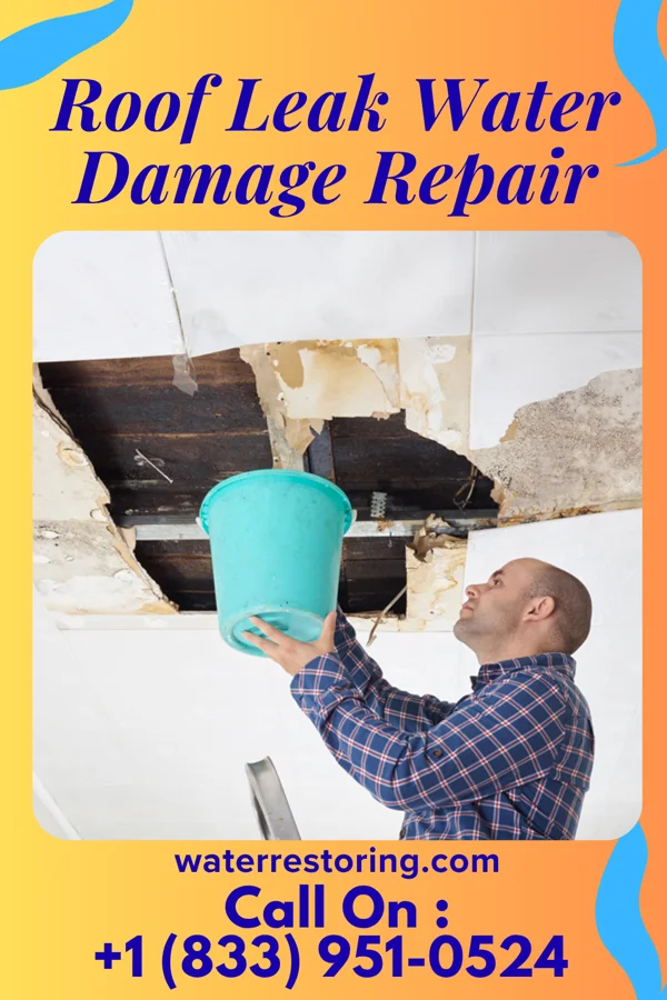 Roof Leak Water Damage Repair in Rossmoyne, OH