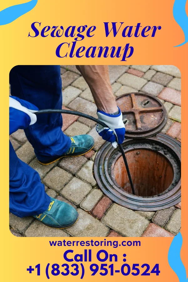 Sewage Water Cleanup in Rossmoyne, OH